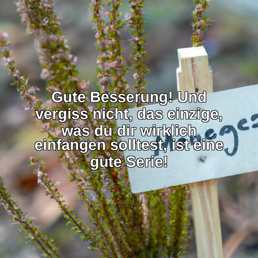 Gute Besserung! Und vergiss nicht, das einzige, was du dir wirklich einfangen solltest, ist eine gute Serie!
