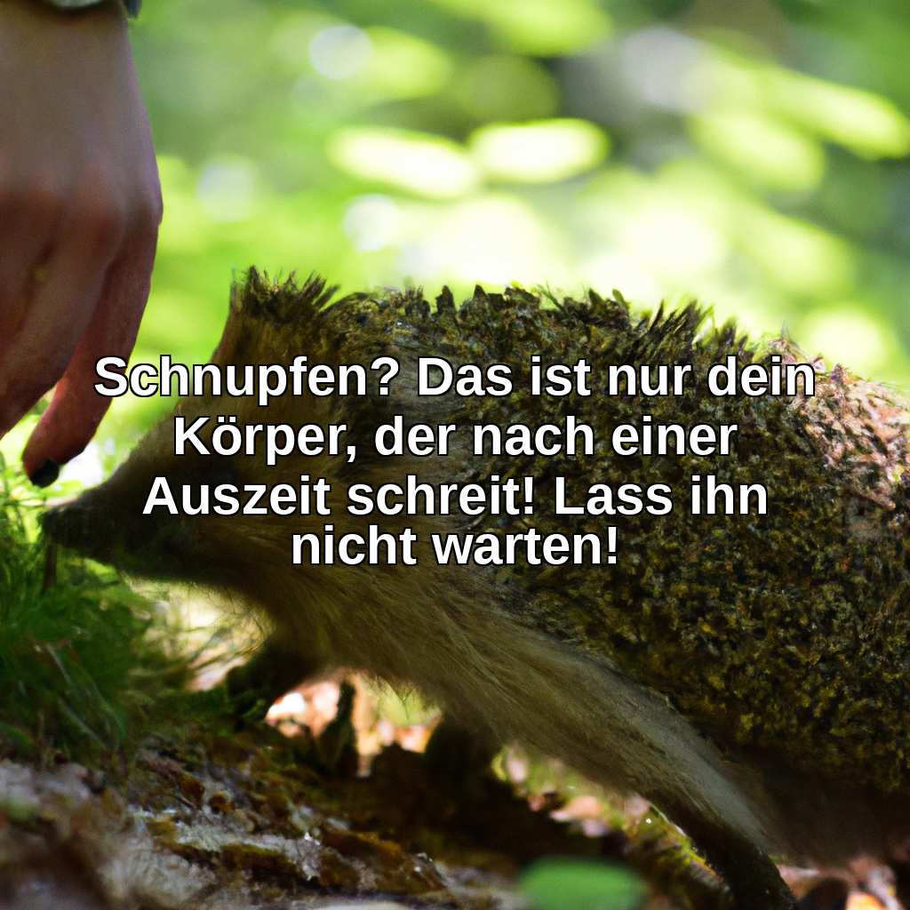 Schnupfen? Das ist nur dein Körper, der nach einer Auszeit schreit! Lass ihn nicht warten!
